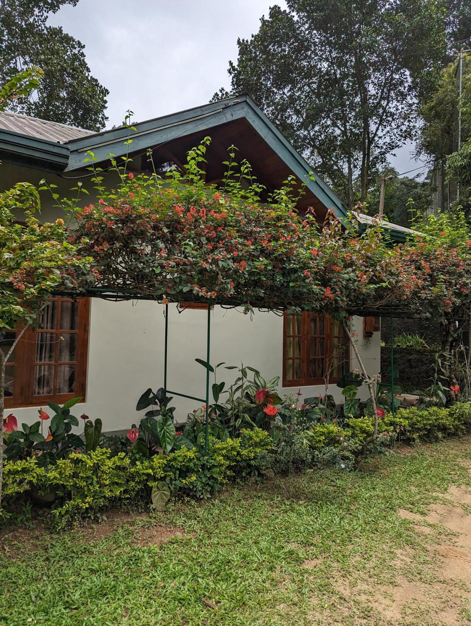 Sunnyside Lodge - Tea Plantation Bungalow Ella Exterior photo